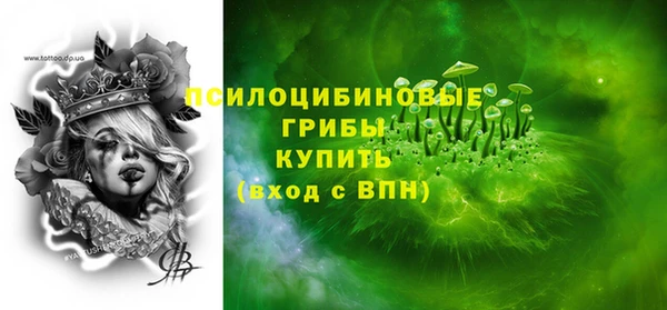 тгк Медвежьегорск