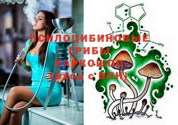 прущий лед Михайловск